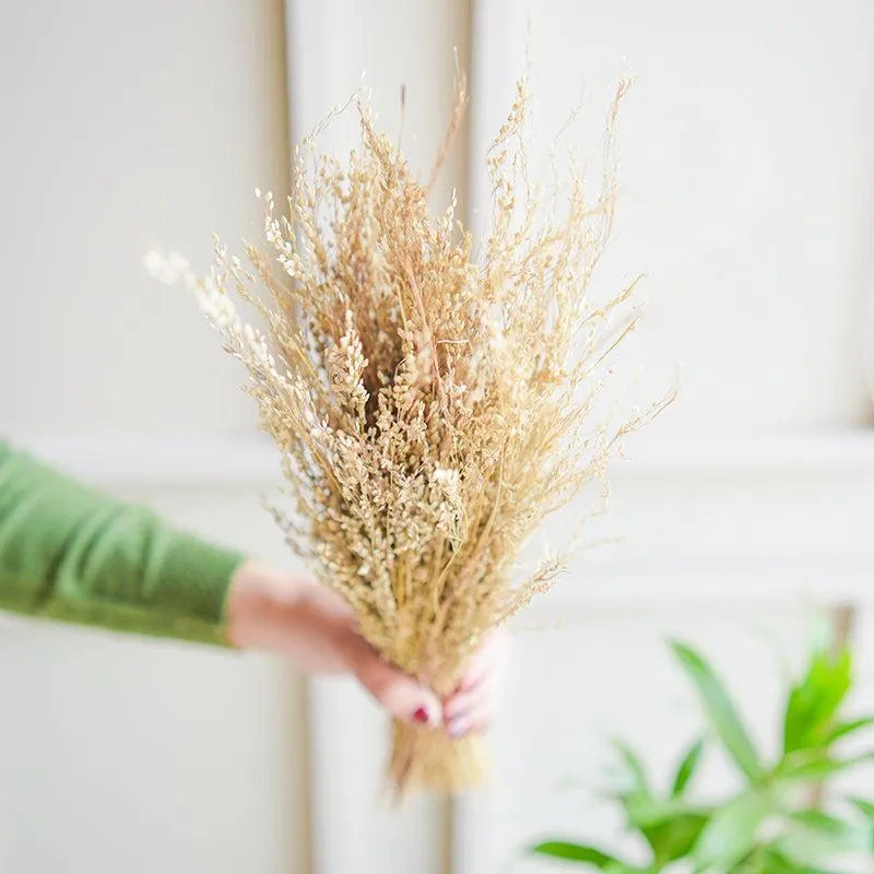 Aurora Stems Dried Flower Bunch media 4