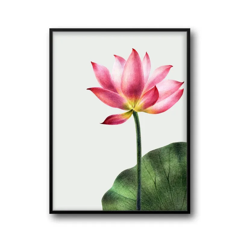 Painted Lotus Archival Paper Wall Art With Frame media 6
