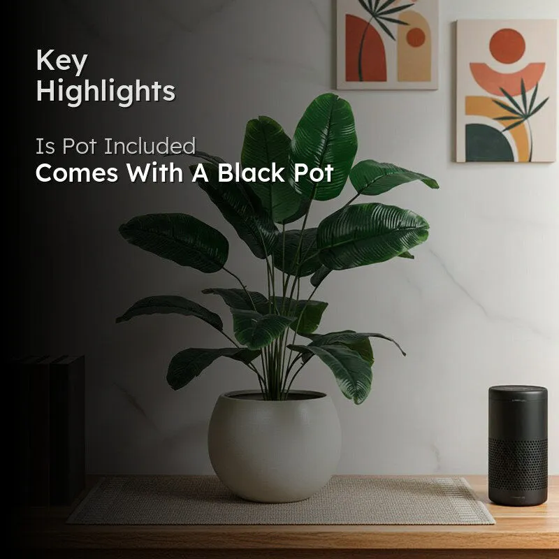 Artificial Banana Plant With Black Plastic Pot - 2 ft media 2