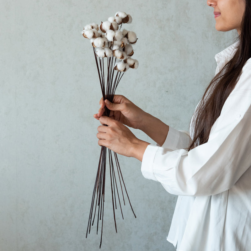 Dried Flowers & Leaves