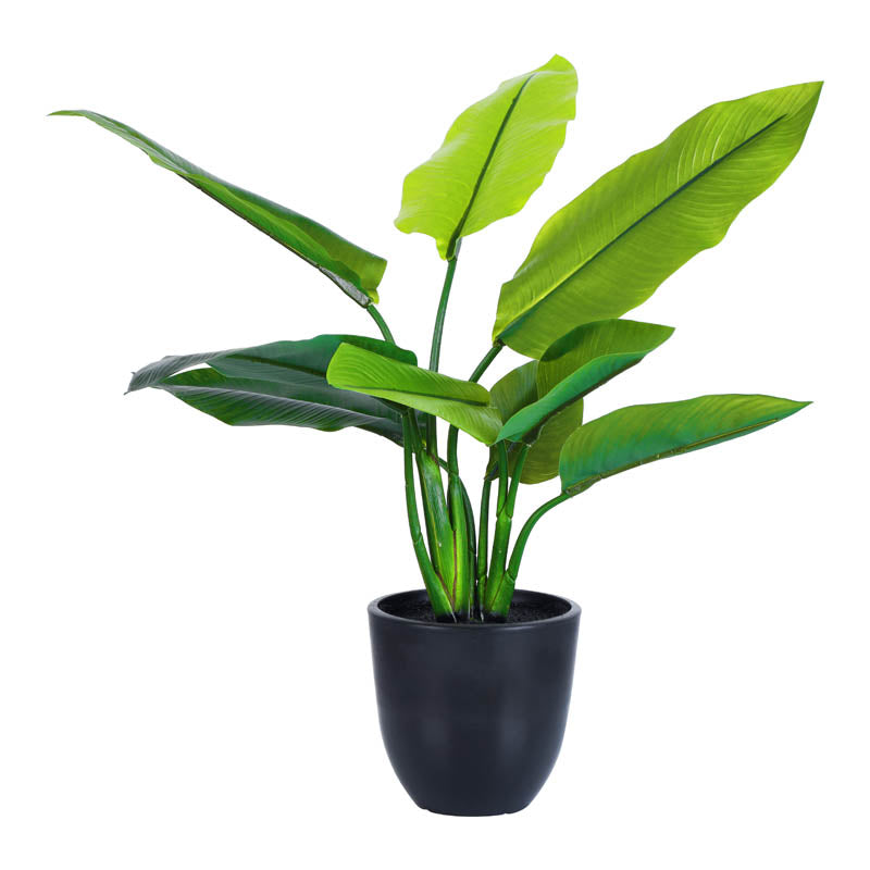 Artificial Banana Plant With Black Plastic Pot - 1 Feet media 5