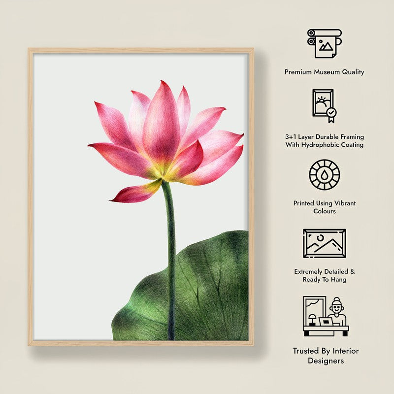 Painted Lotus Archival Paper Wall Art  - Natural Brown Frame media 9