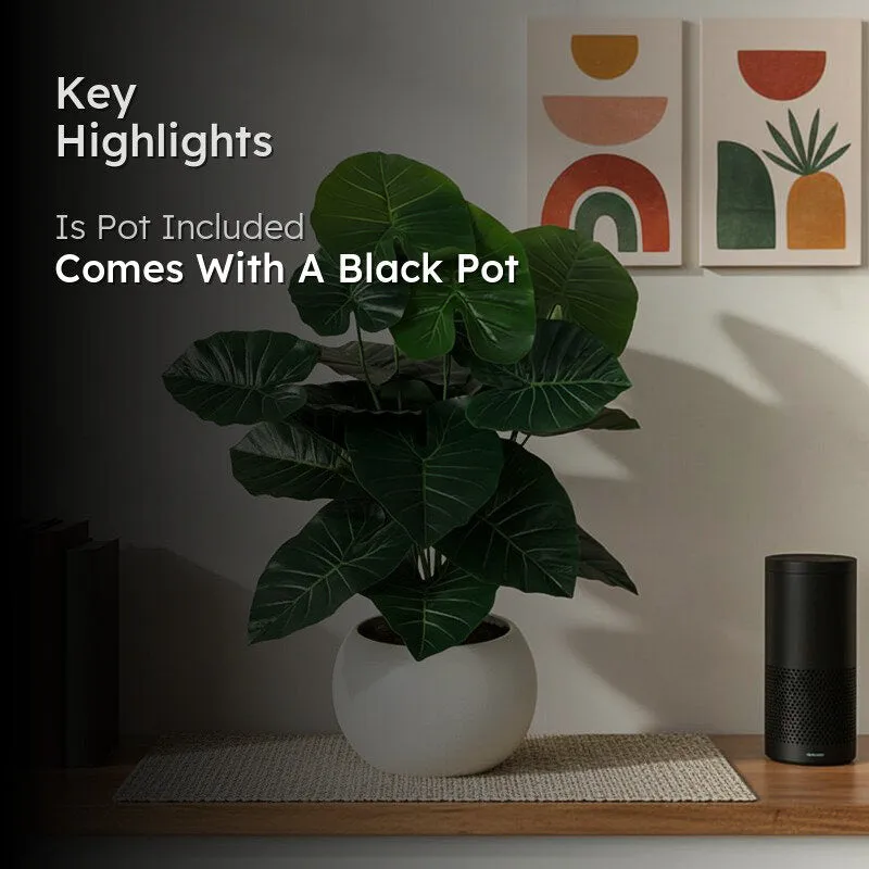 Green artificial plant in a black pot styled in a contemporary interior