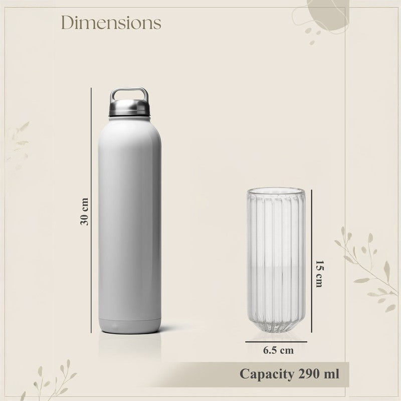 Pavira Drinking Glass(290 mL) - Set Of Two media 6