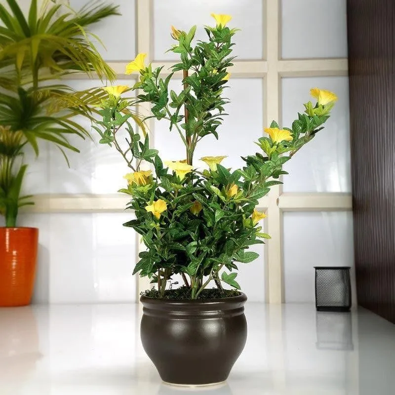 Faux Tall Morning Glory Bonsai In Ceramic Pot (50 cms) - Yellow & Green media 1