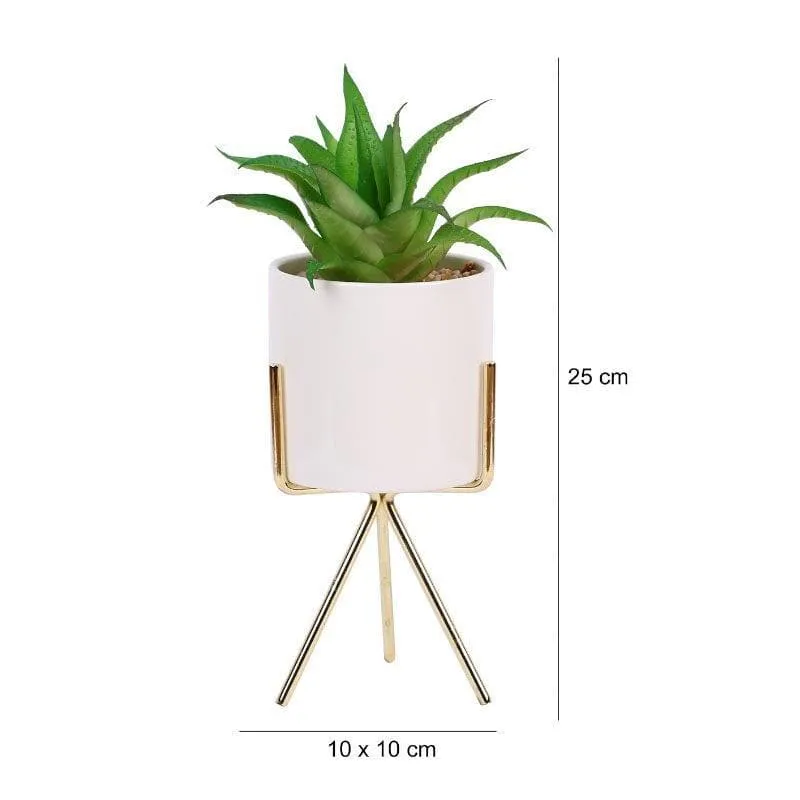 Faux Aloe Vera In White Pot With Tripod (22.5 cms) - Big media 3