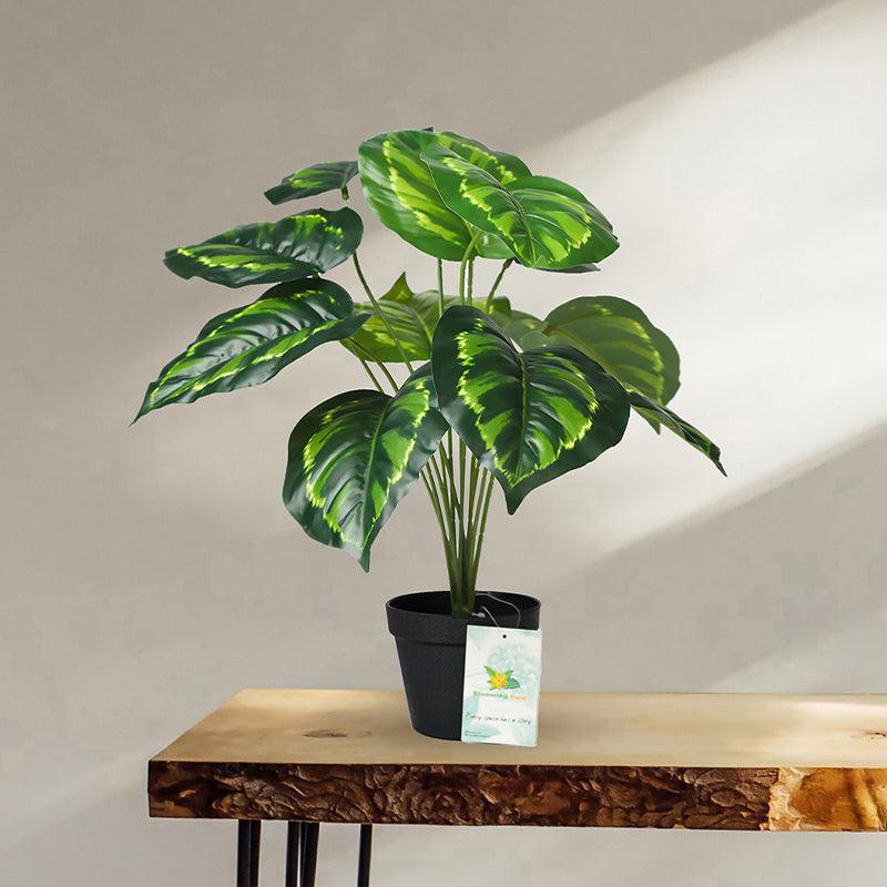Faux Everlasting Birkin Philodendron Plant With Black Plastic Pot - 58 cm media 3