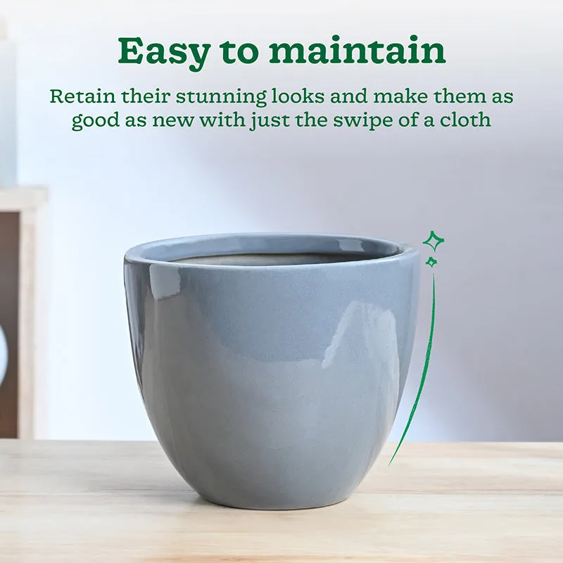 Ugaoo Cantata Ceramic Planter - Grey media 4