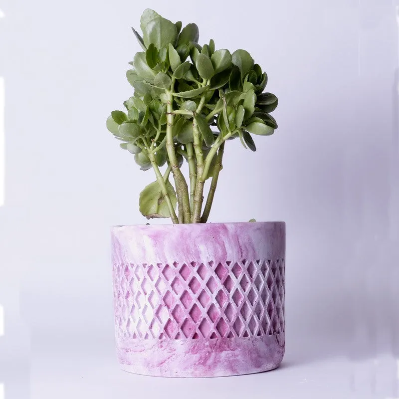 Diemona Planter - Pink media 4