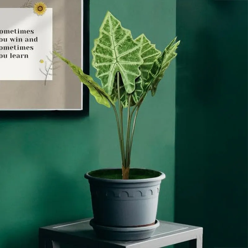 HomeBloom Artificial Alocasia Plant With Black Plastic Pot - 2 Feet media 6