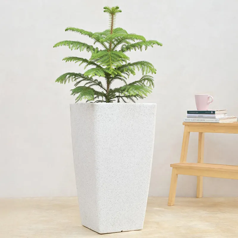 Ugaoo Lava Bloc Plastic Planter - White media 3