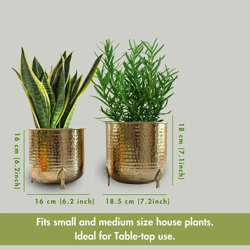 Finasa Metal Hammered Planter (Gold) - Set Of Two media 7
