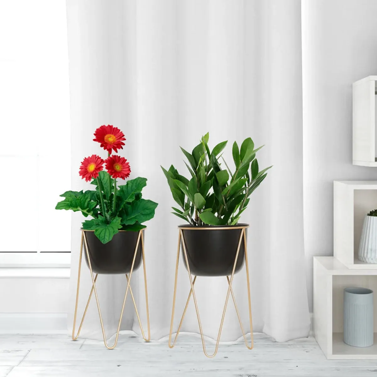 Two black metal planters on gold stands styled with plants in a bright room
