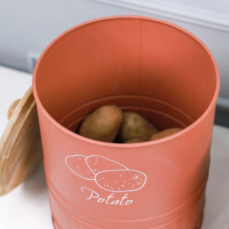 Ferrous Fun Round Potato Box - 14 L media 3