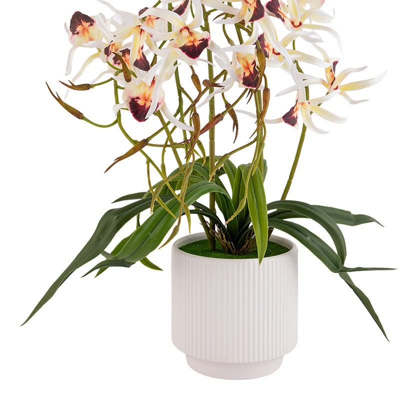 AarviDecor Classic Bloom Silk Artificial Plants media 7