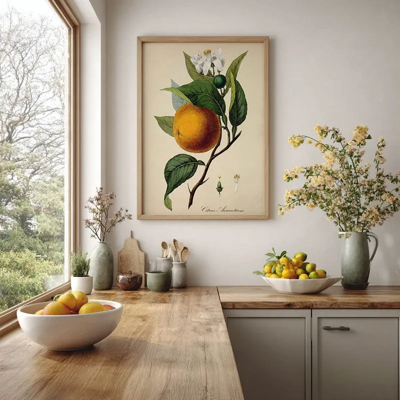 Tropical Zest Archival Canvas Wall Art - Brown media 6