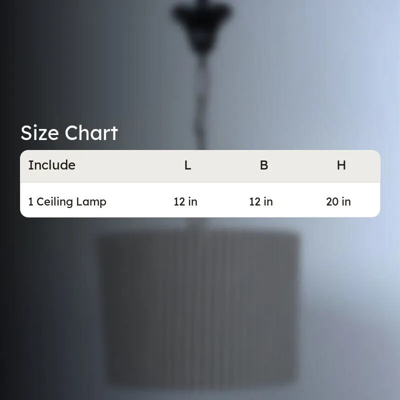 Zebro Printed Iron Ceiling Lamp media 5