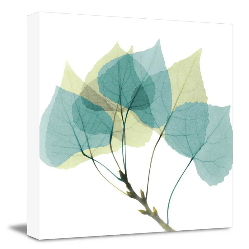 Holden Floral Wall Art media 3