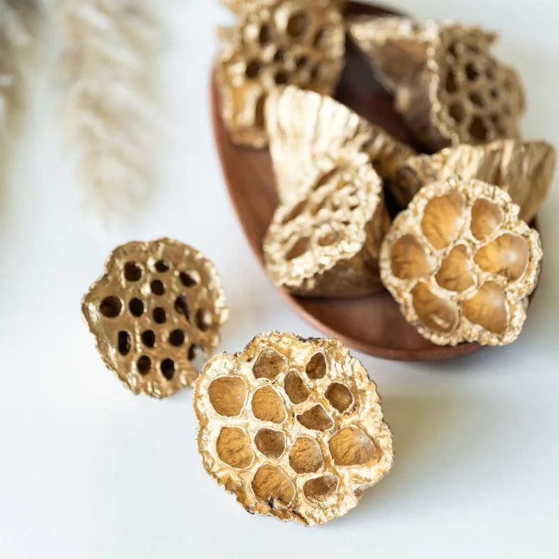 Nalay Golden Lotus Pod - Set Of Ten media 3