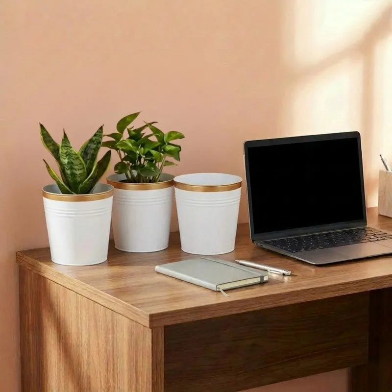 Leafora Iron Planter (White) - Set Of Three media 6