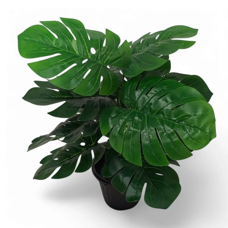 ClayVine Artificial Mostera Plant - 1.5 Feet media 5