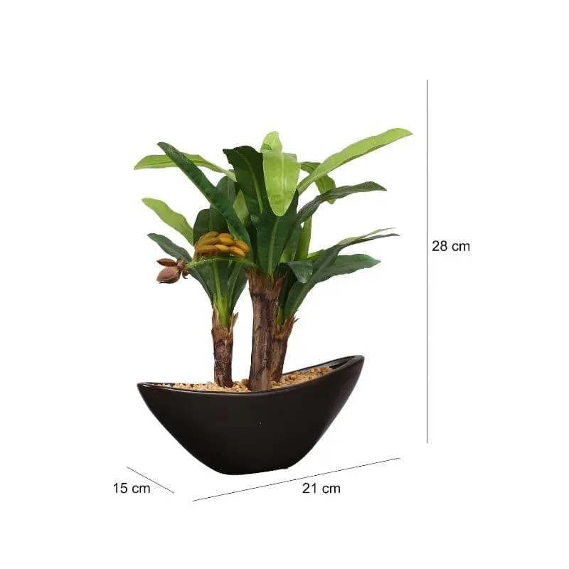 Faux Banana Artificial Bonsai In Bowl Black Plastic Pot - 28 cms media 5