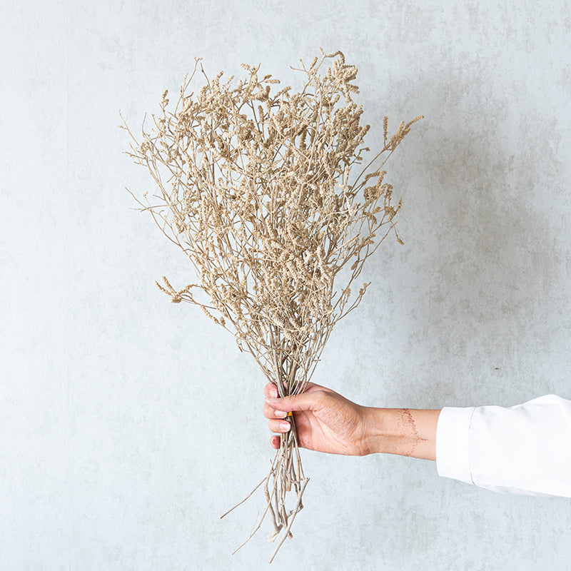 Ariel Dried Statice Flower Bunch media 5