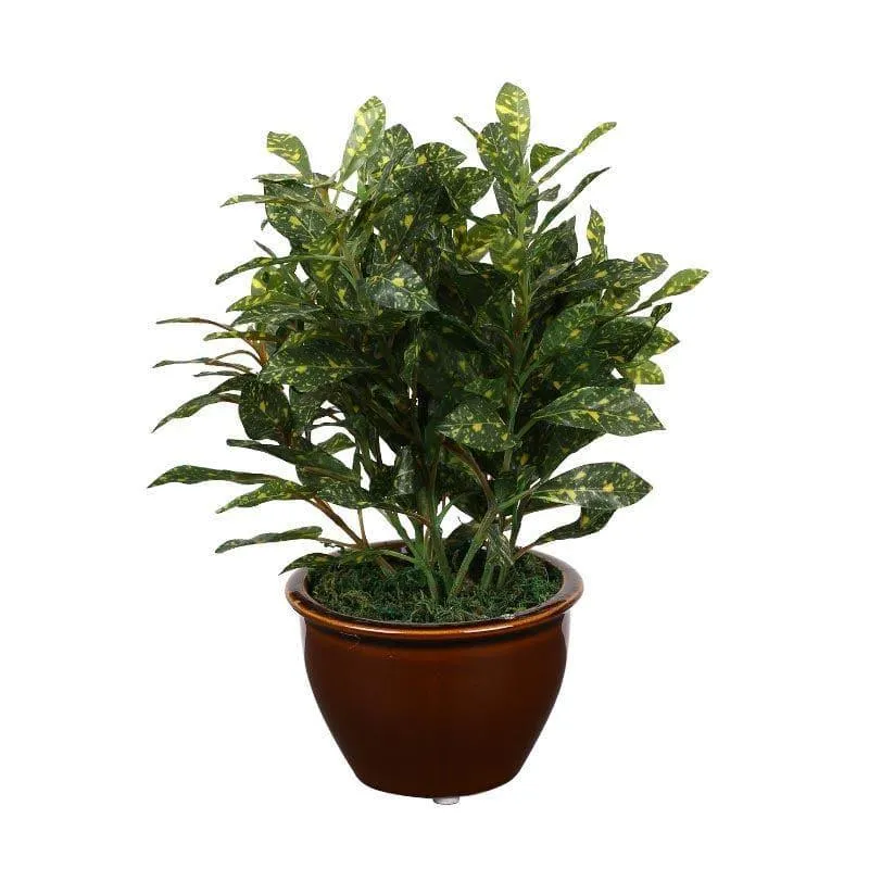 Faux Croton Bonsai In Ceramic Pot (28 cms) - Green media 3