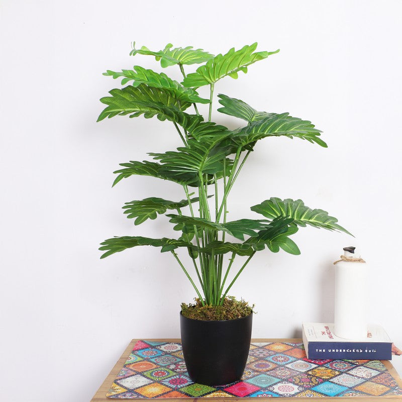 Faux Tropic Anthurium Silk Plant With Black Plastic Pot - 2.13 ft media 3