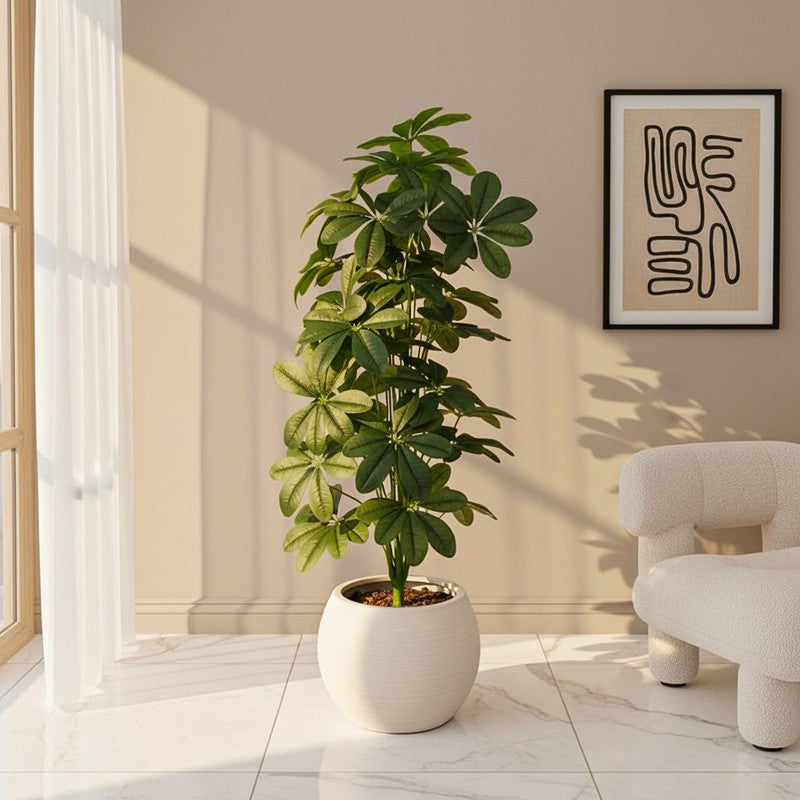 Verdiq Artificial Schefflera With Black Plastic Pot - 4 Feet