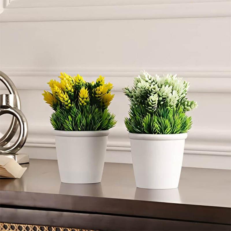 Nuva Faux Plant In Maroe Pot - Set Of Two