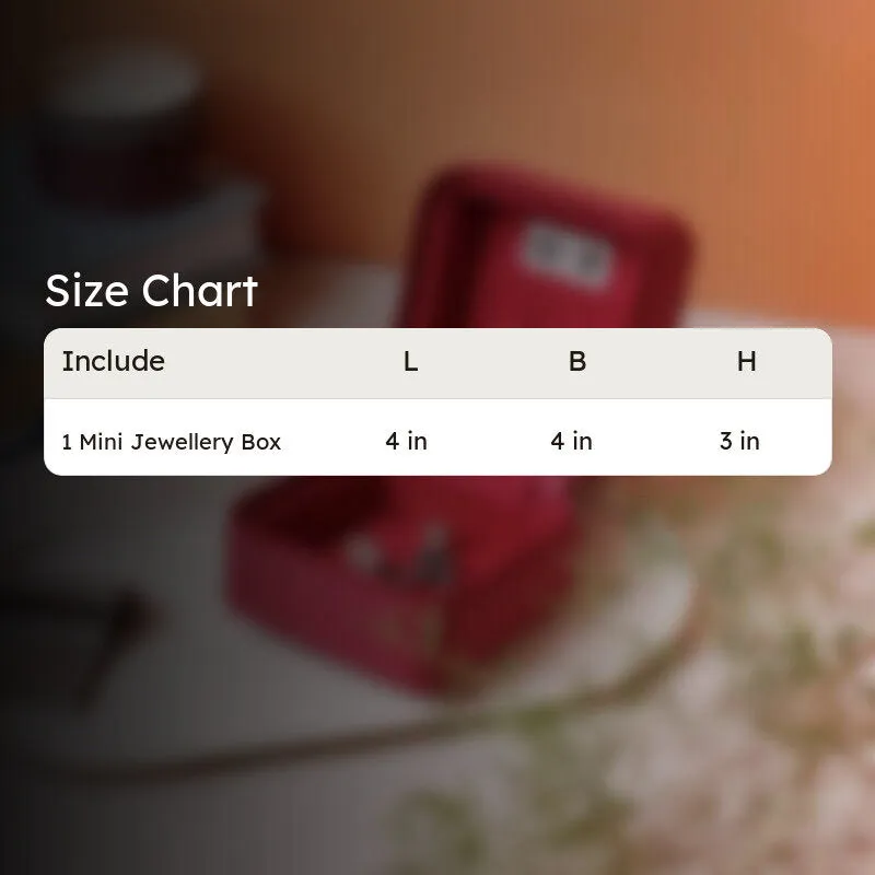 ShineCase Organizer Jewelbox media 7