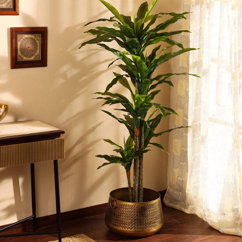 Artificial Realistic Dracaena Plant With Black Plastic Pot - 5.6 Feet image 3