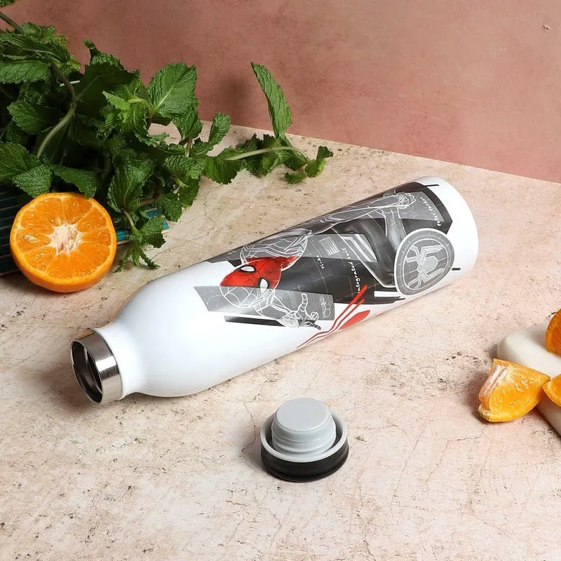 Web Spidey Insulated Water Bottle - 650 mL media 3