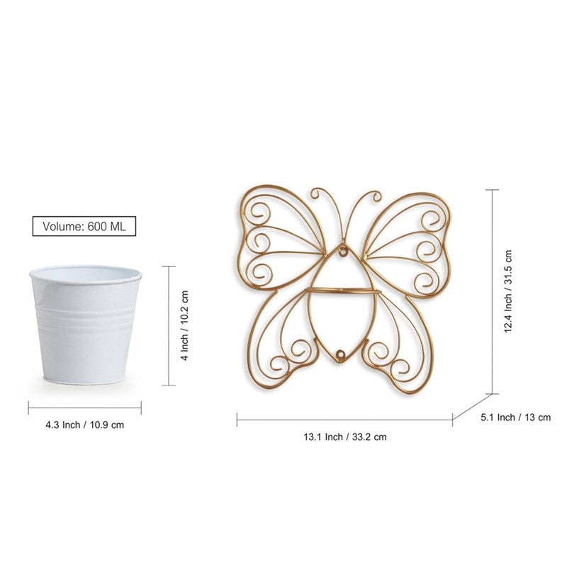 Titli Ima Wall Planter media 4