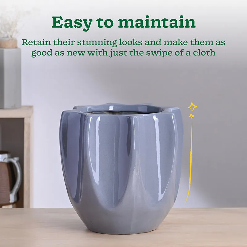 Ugaoo Pebble Pod Ceramic Planter - Grey media 4