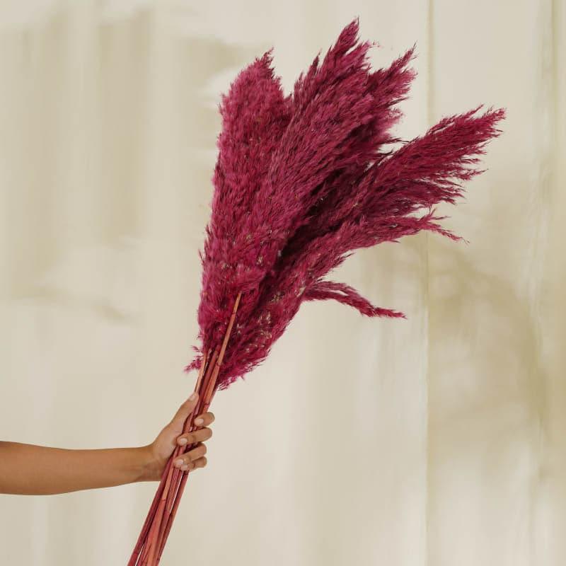 Puffy Pampas Stems (2.62 ft) - Pink media 3