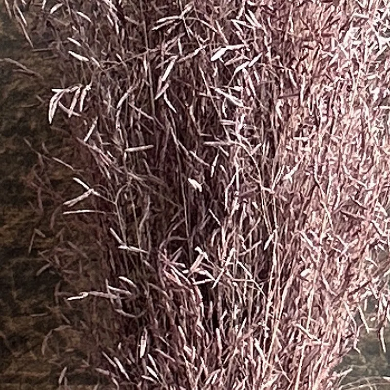 Field Fade Dried Grass - Lavender media 3