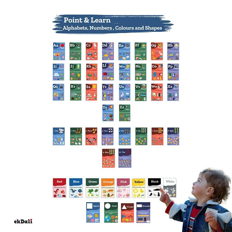 Learn & Play Wall Poster - Set of Forty Eight media 4