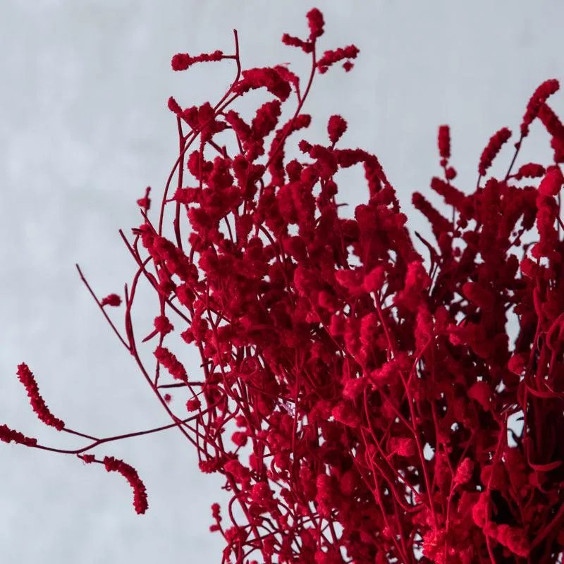 Ariel Statice Flower Bunch - Red media 3