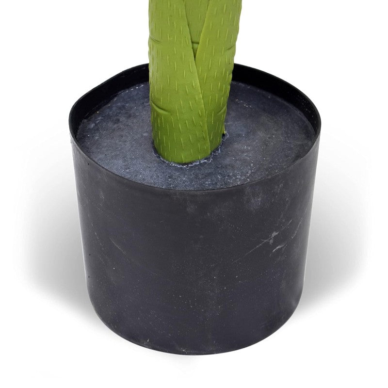 AuraLeaf Artificial Areca Plant With Black Plastic Pot - 3 Feet media 6