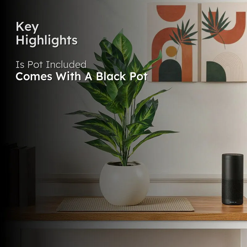 Faux Petra Corton Plant With Black Plastic Pot - 2.2 Feet media 2