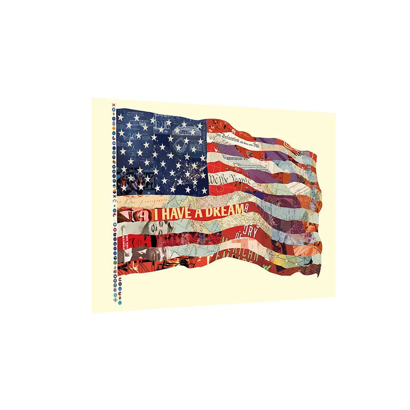 American Pride Canvas Wall Painting media 4