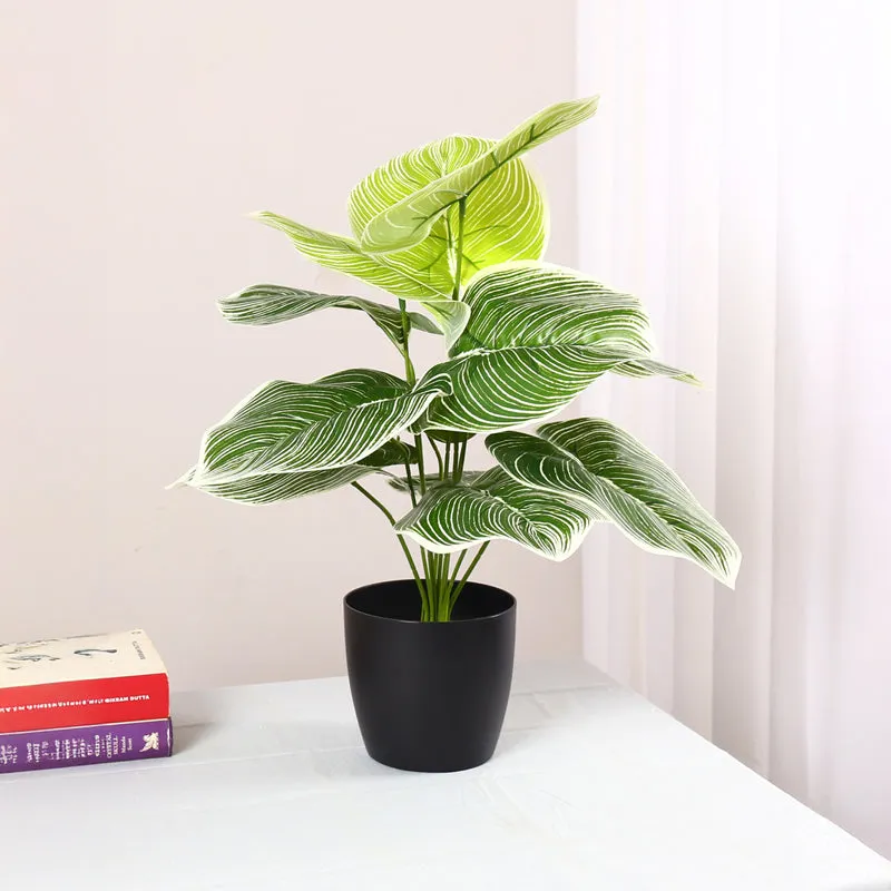 Verdiva II Artificial Plant With Black Plastic Pot - 1.8 Feet media 2