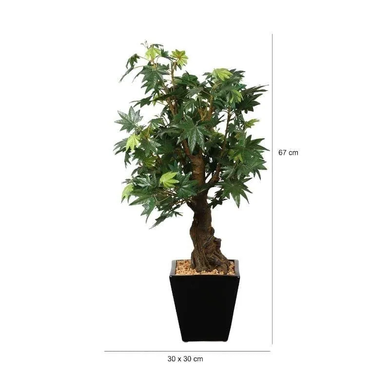 Faux Maple Bonsai In Cone Black Plastic Pot (2.2 ft) - Green & Brown media 5