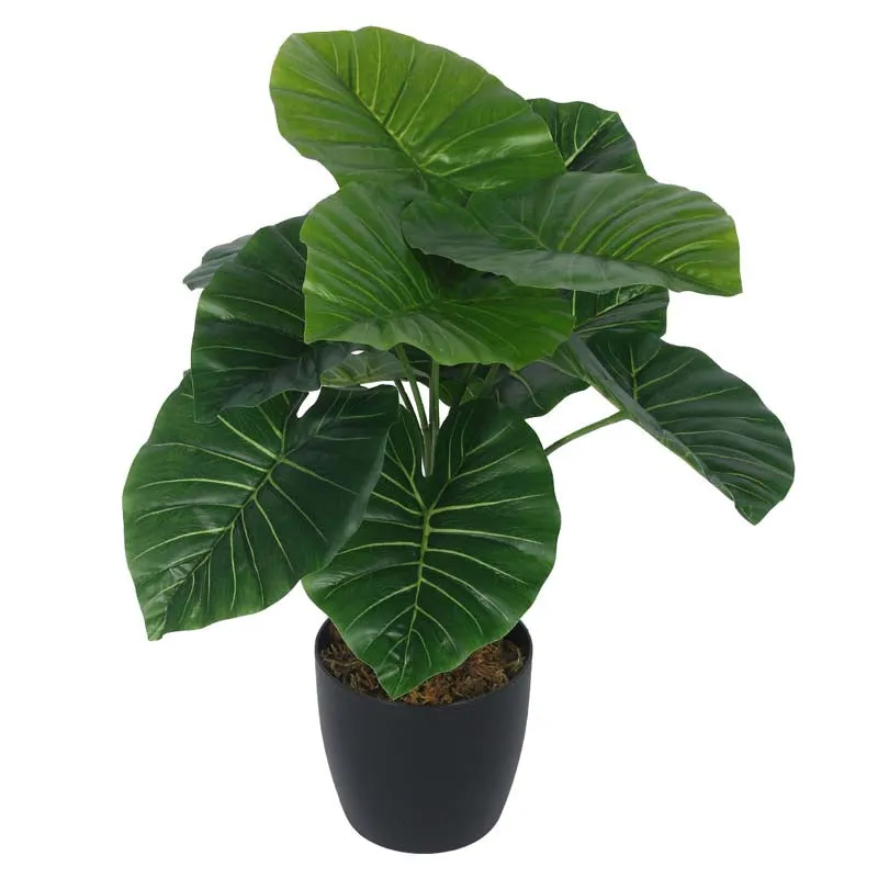 Faux Lush Rubber Fig Plant With Black Plastic Pot - 1.8 Feet media 3