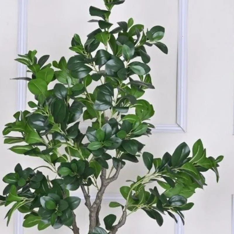 Artificial Peperomia Plant Without Pot - 5.9 Feet media 5