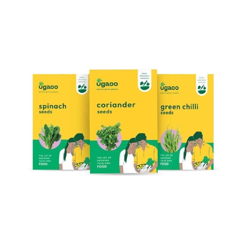 Ugaoo Veges Seeds (Coriander, Spinach, Green Chilli) - Set Of Three media 4