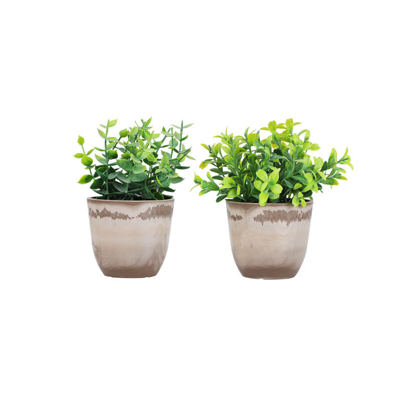 Artificial Mini Green Bush With Black Plastic Pot (Set Of Two) media 6