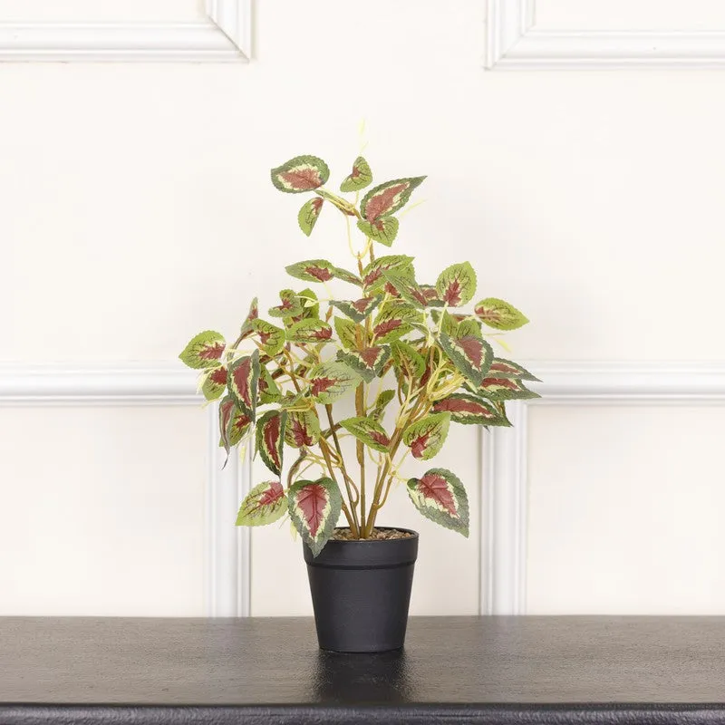 Artificial Coleous plant with green and red leaves in a black pot on a console